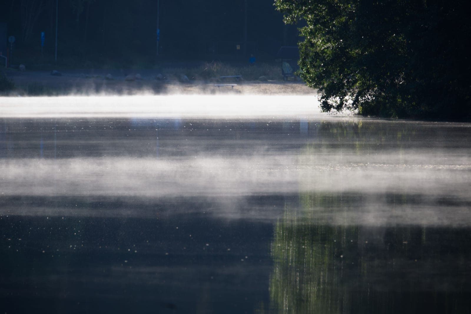 Mist sitting over the surface of a calm lake at first light