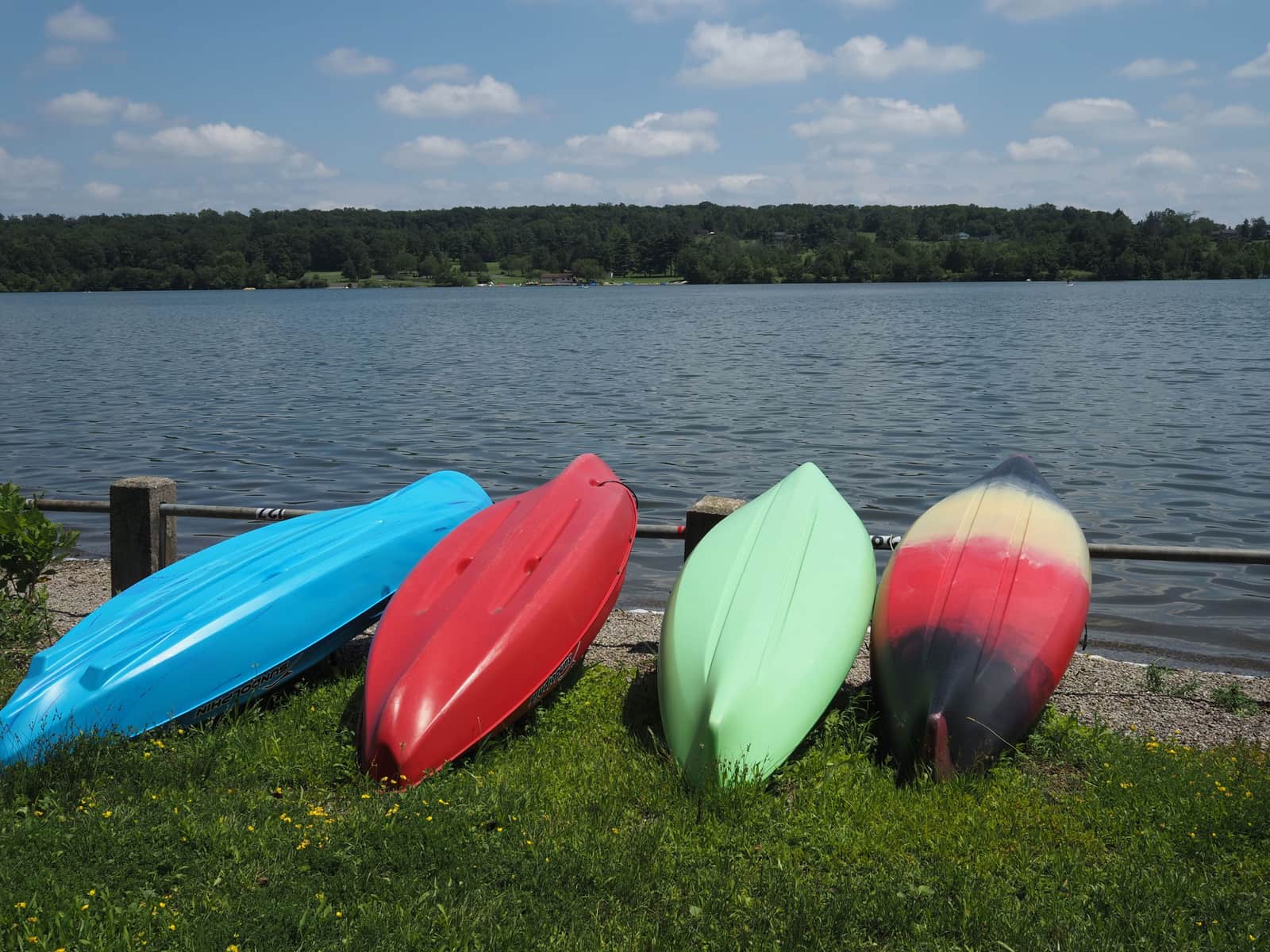 Several colorful kayaks resting beside a calm lake on a summer day