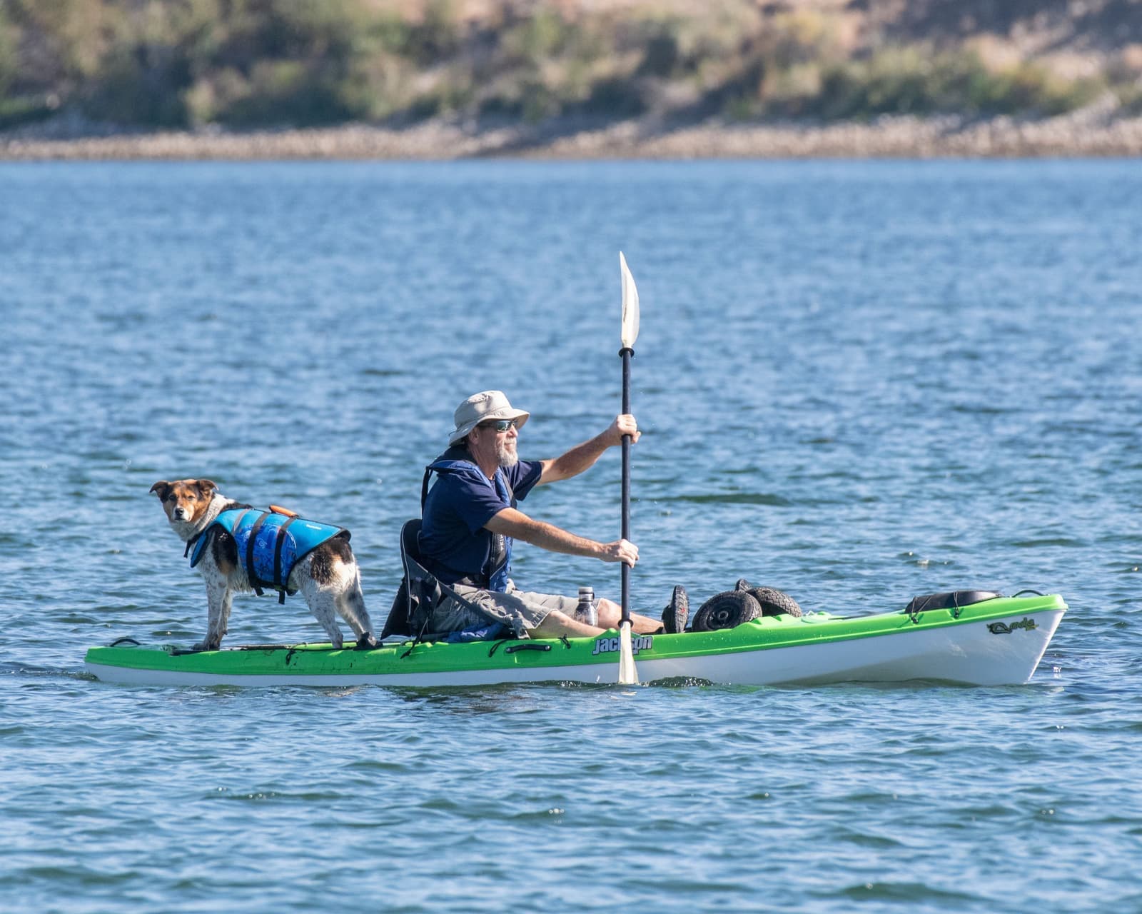 A paddler sharing an open-deck kayak with a dog on calm water