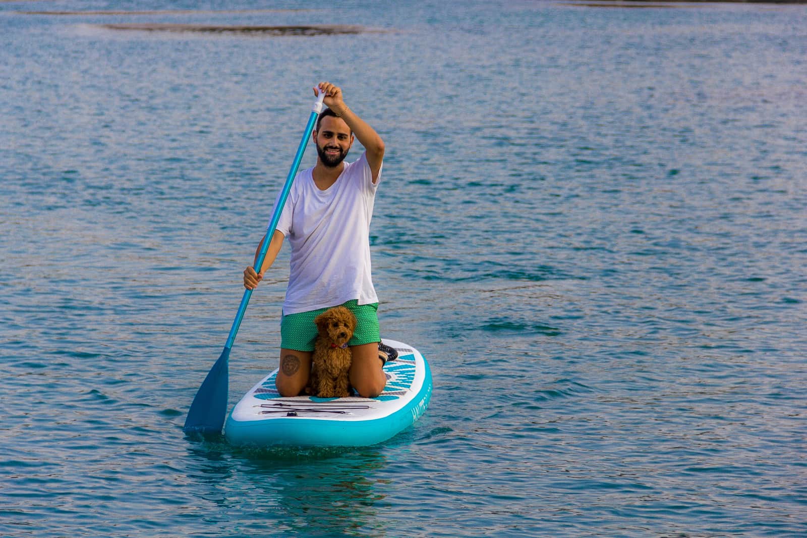 A dog standing on a paddle board beside its owner on flat water